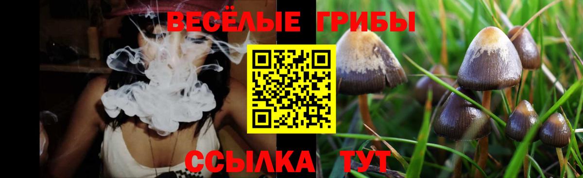 Минеральные Воды  Псилоцибиновые грибы мицелий  Вход с VPN 